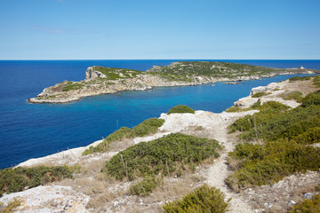 Fototapeta na wymiar Path, view on Caprara island and lighthouse.