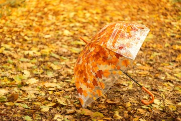 Autumn concept. Umbrella  in yellow leaves  in warm colors .Fall season. Autumn mood