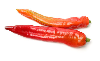 Red chili pepper isolated on a white background.