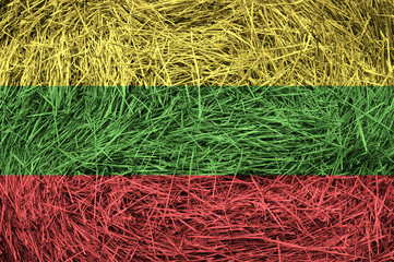 Lithuania flag on a hay roll surface.