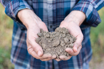 Farmer hands with soil in the palms close-up , man hands with fertile soil