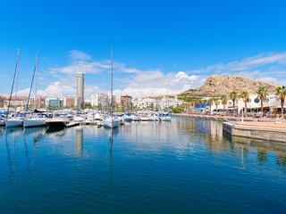 Beautiful promenade with palm trees in Alicante. Spain