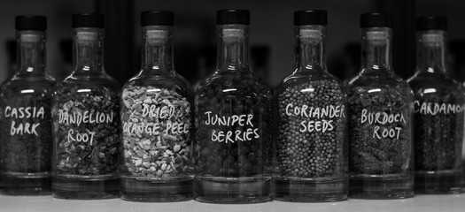 bottles of gin ingredients