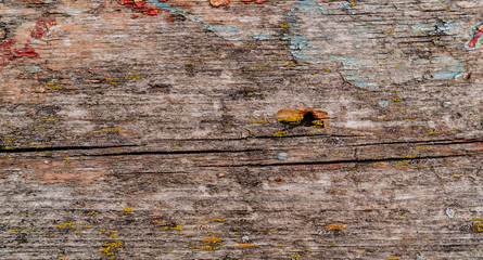 Old wood texture background. Surface with cracks, scuffs, different colors of old paint