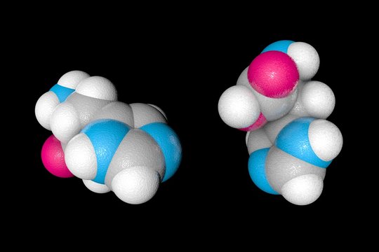 Space-filling molecular model of l-histidine. Atoms are represented as spheres with conventional color coding: carbon (grey), oxygen (red), nitrogen (light blue), hydrogen (white). 3d illustration