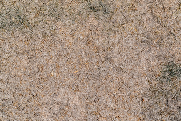 Old pressed sawdust texture. Wooden texture background