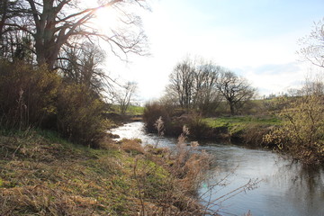 Calm riverbank scene during early spring in UK