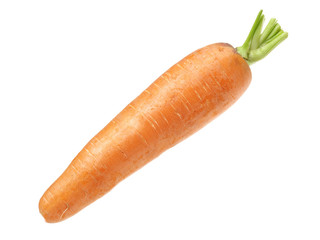 Fresh carrot on a white background