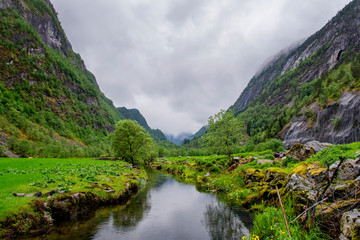 Fototapeta na wymiar Norwegian landscape