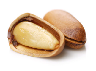 pine nuts on white background