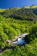 Fototapeta na wymiar Valley Ticha in Summer, High Tatras, Slovakia