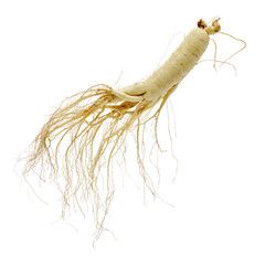 Ginseng on white background.