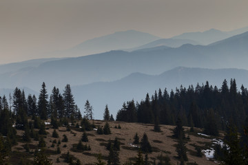 Primeval forest in Big Fatra, Slovak republic