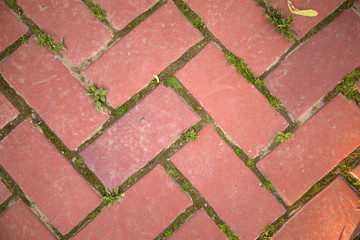 Walkway cobblestone . Seamlessly tiling cobbled road texture