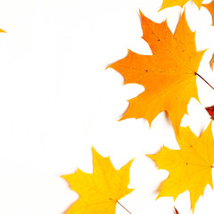 Autumn pattern composition. Pattern made of autumn leaves. Flat lay, top view, copy space
