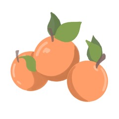  illustration of big oranges with leaves