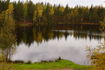 Autumn forest on the shore of a forest lake