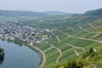 Weinberg, Kroever Nacktarsch, Grosslage, Mosel