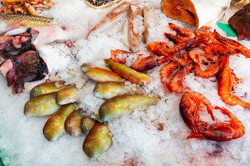 Showcase of seafood market