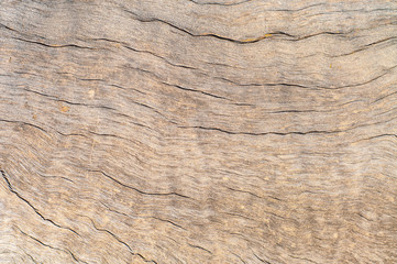 Seamless texture of old wood 