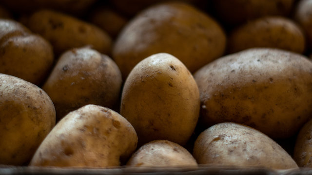 Garden potatoes Background image
