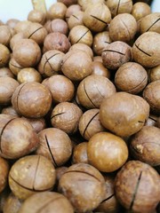 Macadamia nuts in shells, unpeeled. Close-up photo