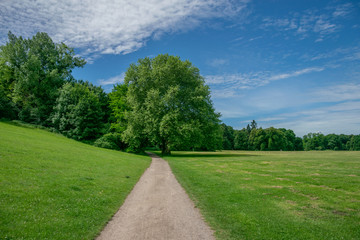 Fototapeta na wymiar Path leading through green meadow to green trees with blue sky and white fluffy clouds – symbol for leisure time, climate, decisions and purity