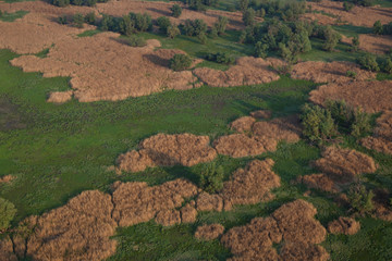 Aerial view of Kopački rit in spring, Croatia