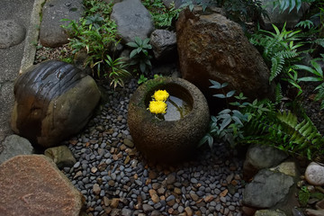 茶室　露地の蹲　京都