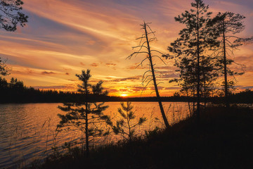 Sunset in Karelia near beautiful lake