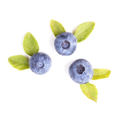 Blueberries with leaves isolated on white background, top view