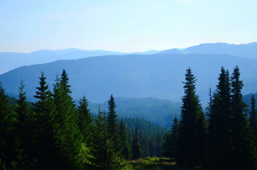 Beautiful view of the mountains on a sunny summer day