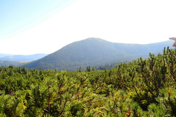 Beautiful view of the mountains on a sunny summer day