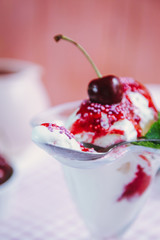 Vanilla ice cream with berry sauce and mint