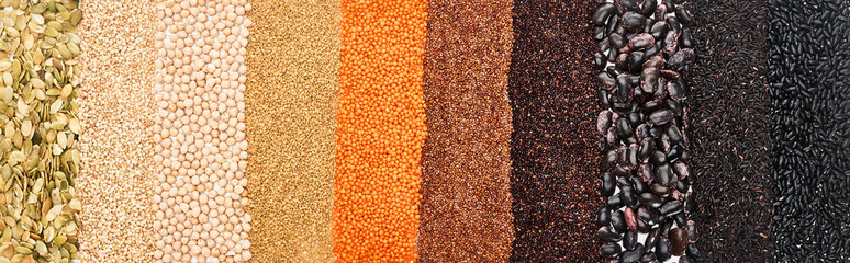 panoramic shot of assorted black beans, rice, quinoa, red lentil, buckwheat, chickpea and pumpkin...
