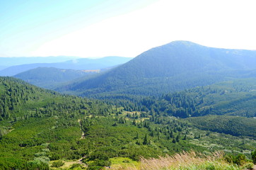 Beautiful view of the mountains on a sunny summer day