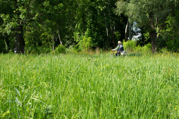 Nature green. Branches in the forest. Ride through grass. Find the peace at the nature.