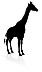 A high quality giraffe animal silhouette