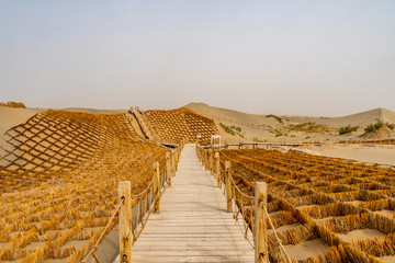 China Hotan Rawak Stupa 143