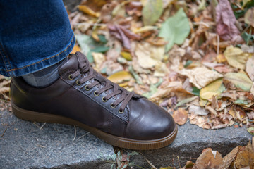 sneakers and background of yellow leaves, autumn concept. Top view of shoes and fall season.