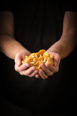 Obraz premium Man holding chanterelles in hand.