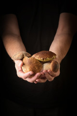 Man holding Boletus edulis in hand. Rustic style.