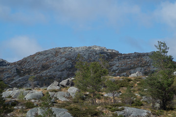 Fototapeta na wymiar Mountain view with rocks and pine tree