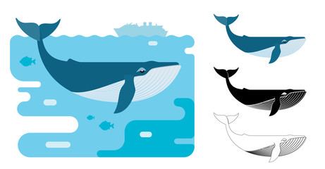 Blue whale icons. Flat vector illustration of blue whale. Decorative cute illustration for children. Graphic design elements for print and web.