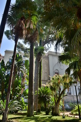 Giardini del palazzo reale di Palermo, Sicilia