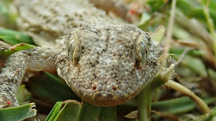 OLYMPUS TG5 © Ferran