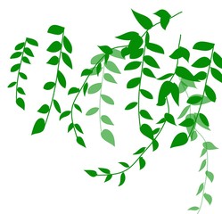 abstract background with green leaves