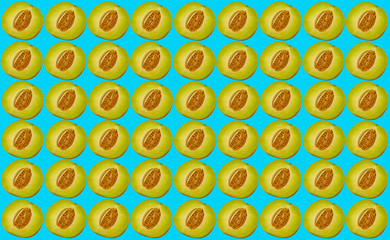 Galiamelone Gruppe auf Hellblauen Hintergrund