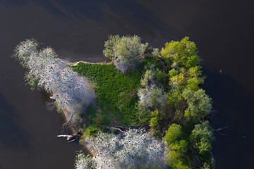 Aerial view of Kopački rit in spring, Croatia