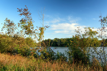 Seine river bank in la Bassée National nature reserve bank